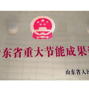 山東省重大節(jié)能成果獎
